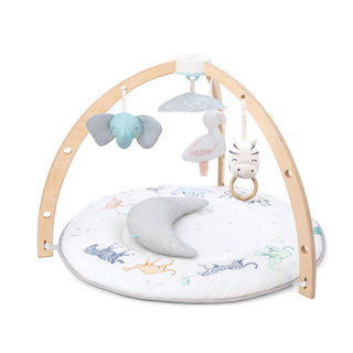 baby activity gym