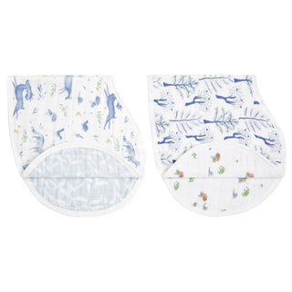 organic cotton burpy bibs 2 pack