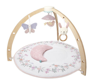 baby activity gym