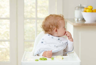 boutique 100% cotton muslin burpy bibs 2 pack